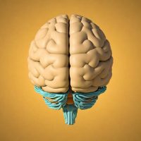 Neuro NEUROLOGISCHE BEHANDLUNGEN