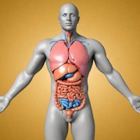 Oseto OSTEOPATHISCHE TECHNIKEN